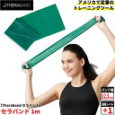 セラバンド トレーニングバンド フォーエントリー 1m 強度レベル1 グリーン 緑 TBE-3 強度別 THERABAND ゴムチューブ ゴムバンド ゴム トレーニング 筋トレ エクササイズ ストレッチ スポーツ 肩甲骨 ダイエット 運動 国内正規輸入代理店