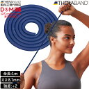 セラチューブ トレーニングチューブ フォーエントリー 1m 強度レベル2 ブルー 青 #TTE-14 セラバンド THERABAND 強度 トレーニング ゴム ...