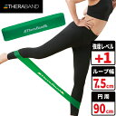 セラバンド セラループ トレーニングバンド 円周 90cm 強度レベル+1 グリーン #TLB-3 強度別 THERABAND トレーニング 野球 バレー 筋ト...