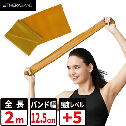 セラバンド トレーニングバンド 2m 強度レベル+5 ゴールド 金 #TBB-7 野球系人気Youtube「トクサンTV」でも紹介！ 強度別 THERABAND トレーニング用 ゴムバンド バンド トレーニング 筋トレ インナーマッスル スポーツ リハビリ ダイエット 国内正規輸入代理店