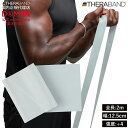 セラバンド トレーニングバンド 2m 強度レベル+4 シルバー 銀 #TBB-6 強度別 THERABAND トレーニング ゴム バンド 野球 バレエ 体幹 筋...