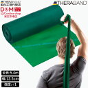 セラバンド トレーニングバンド 5.4m 強度レベル+1 グリーン 緑 #TB-3 強度別 THERABAND トレーニング用 ゴム バンド トレーニング 野球...