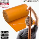 セラバンド トレーニングバンド 5.4m 強度レベル+5 ゴールド #TB-7 強度別 THERABAND トレーニング用 ゴムバンド バンド トレーニング 野...