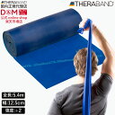 セラバンド トレーニングバンド 5.4m 強度レベル+2 ブルー 青 #TB-4 強度別 THERABAND トレーニング用 ゴムバンド バンド トレーニング ...