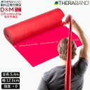 セラバンド トレーニングバンド 5.4m 強度レベル0 レッド 赤 #TB-2 強度別 THERABAND トレーニング用 ゴムバンド バンド トレーニング 野球 バレーボール 体幹 筋トレ インナーマッスル エクササイズバンド レジスタンス スポーツ リハビリ ダイエット 国内正規輸入代理店