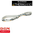 セラバンド セラアシスト #DA-80 ハンドホルダー エクササイズバンド アクセサリー THERABAND トレーニング ゴムチューブ トレーニングバンド 筋...