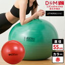 セラバンド エクササイズボール SDS-55 レッド サイズ別 バランスボール φ55cm エクササイズ THERABAND トレーニング トレーニングバンド ...
