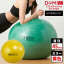 セラバンド エクササイズボール #SDS-45 イエロー サイズ別 バランスボール φ45cm エクササイズ THERABAND トレーニング トレーニングバン...