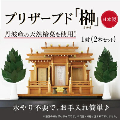 【ネコポス】【送料無料】プリザーブド 榊 さかき SSサイズ 神棚 枯れない 枯れない榊 プリザーブドフラワー ブリザード プリザーブド榊 造花 水替え不要 日本製 国産 グッズ おすすめ 通販 人気