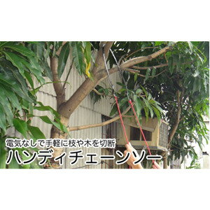 ハンディチェーンソー 切断工具 手動工具 手動 チェーンソー のこぎり 高枝切りのこぎり 高枝切りノコギリ 高枝きりノコギリ 高枝チェーンソー 高枝切り 高枝ノコギリ 庭木 お手入れ 剪定 トリミング 便利 グッズ おすすめ 通販 人気のサムネイル