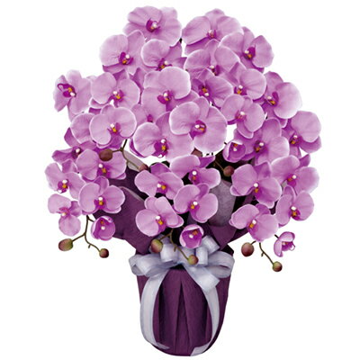 【直送品】【代引き不可】光の楽園 エレガント胡蝶蘭5本立 L 453A80 造花 人工観葉植物 人工観葉 フェイクグリーン 光触媒 V-CAT 光触媒造花 光触媒観葉植物 インテリアグリーン アートグリーン 人工 観葉 植物 新築祝い 開店祝い 引越し祝い お祝い 贈答品 おすすめ 人気