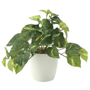 乐天商城 - 【直送品】【代引き不可】光の楽園 フレッシュポトス S 造花 人工観葉植物 人工観葉 フェイクグリーン 光触媒 V-CAT 光触媒造花 光触媒観葉植物 インテリアグリーン アートグリーン 人工 観葉 植物 新築祝い 開店祝い 引越し祝い お祝い 敬老の日 誕生日 プレゼント ギフト