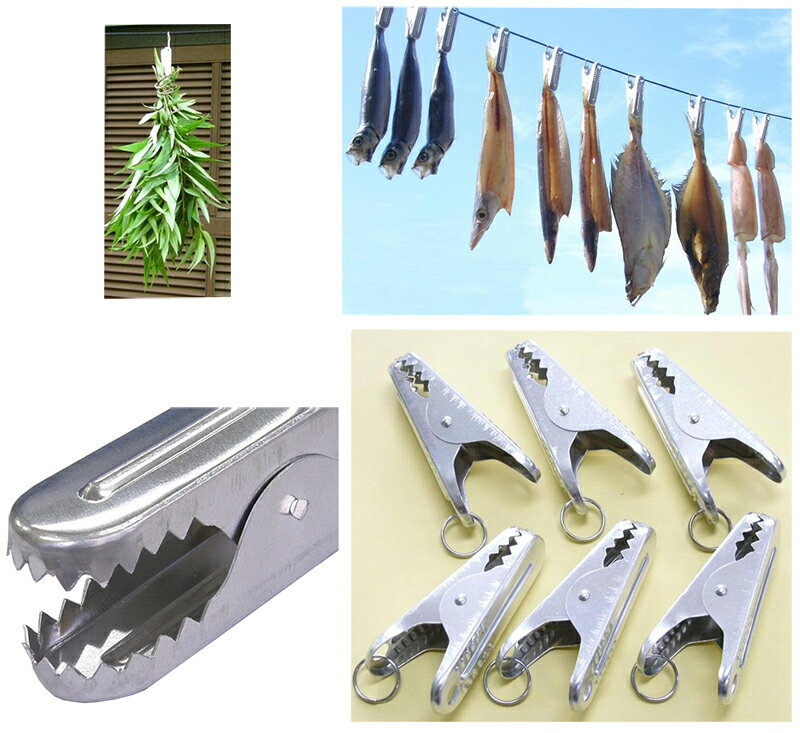 ����ʪ�ԥ�������ȥ��󥰥��硼 6���� �ԥ�� �����Ф��� ������� ����� ���� ���� ���� ��ʪ���� ���𴥤� �ɥ饤�ե�¤�� ����ʪ�ѥԥ�� ���å� ���� �͵�