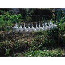 カラスなぜ逃げる どこでも取付タイプ 鳥おどし 防鳥用品 害獣鳥対策 カラス撃退 カラス 撃退 対策 カラス対策 カラスよけ カラス除け 鳥 鳥害 鳥害対策 鳥害対策品 鳥害防止 便利 グッズ おすすめ 通販 人気