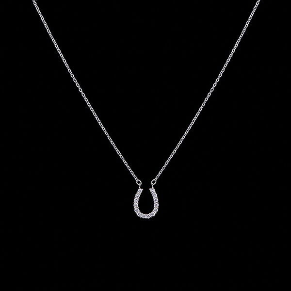 【ネコポス】【送料無料】煌きのキュービックジルコニア馬蹄 磁気ネックレス 磁気アクセサリー 健康アクセサリー おしゃれな磁気ネックレス 磁気 ネックレス アクセサリー 幸運 シンボル 馬蹄 おしゃれ 可愛い レディース 母の日 誕生日 プレゼント ギフト 贈り物 お祝い 2