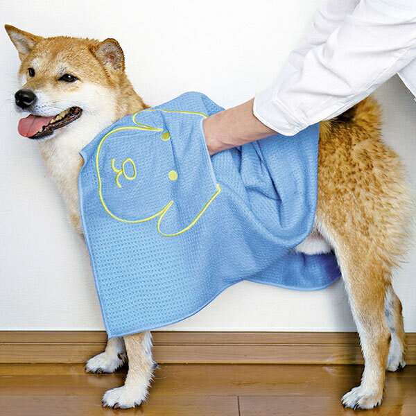 �ڥͥ��ݥ��ۡ�����̵���ۥڥåȤ������䤹���꤬���륿�����2�ĥ��å� �ڥå��ѥ����� �ڥå��Ѥ����������� �ڥåȥ����� �ۿ� �ܥǥ��������� �ڥå��ѵۿ奿���� ������ �ڥå����� �ڥå��ѥ����� ���ѥ����� �Х������� ������ �ڥå� �� ���� �ڥå��� ��������