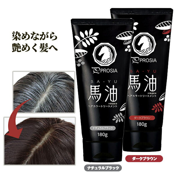 プロシア 馬油ヘアカラートリートメント 180g 全体染め用 白髪染め ヘアケア 白髪染めトリートメント トリートメント 馬油 コウネ油 国産 日本製 保湿 うねり 無添加 ノンシリコン ノンパラベン 白髪 染め 徐々に染まる 昆布エキス お年寄り ご年配 高齢者 シニア 祖父母 dmpl-10008052 ディンプル サンプル画像2