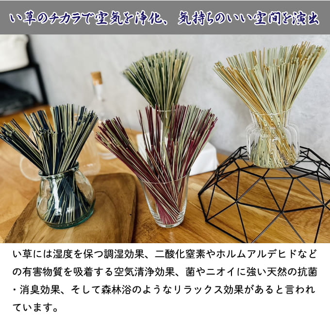 【ネコポス】置きい草 4束セット×2個セット リードディフューザー 芳香剤 消臭剤 除湿剤 部屋用 インテリア 癒し リラックス 吸湿 調湿 消臭 空気清浄 おしゃれ オブジェ 置きいぐさ い草 いぐさ 国産いぐさ 日本製 熊本県 置きいぐさセット 置きいぐさセット dmpl-10009285 ディンプル サンプル画像3