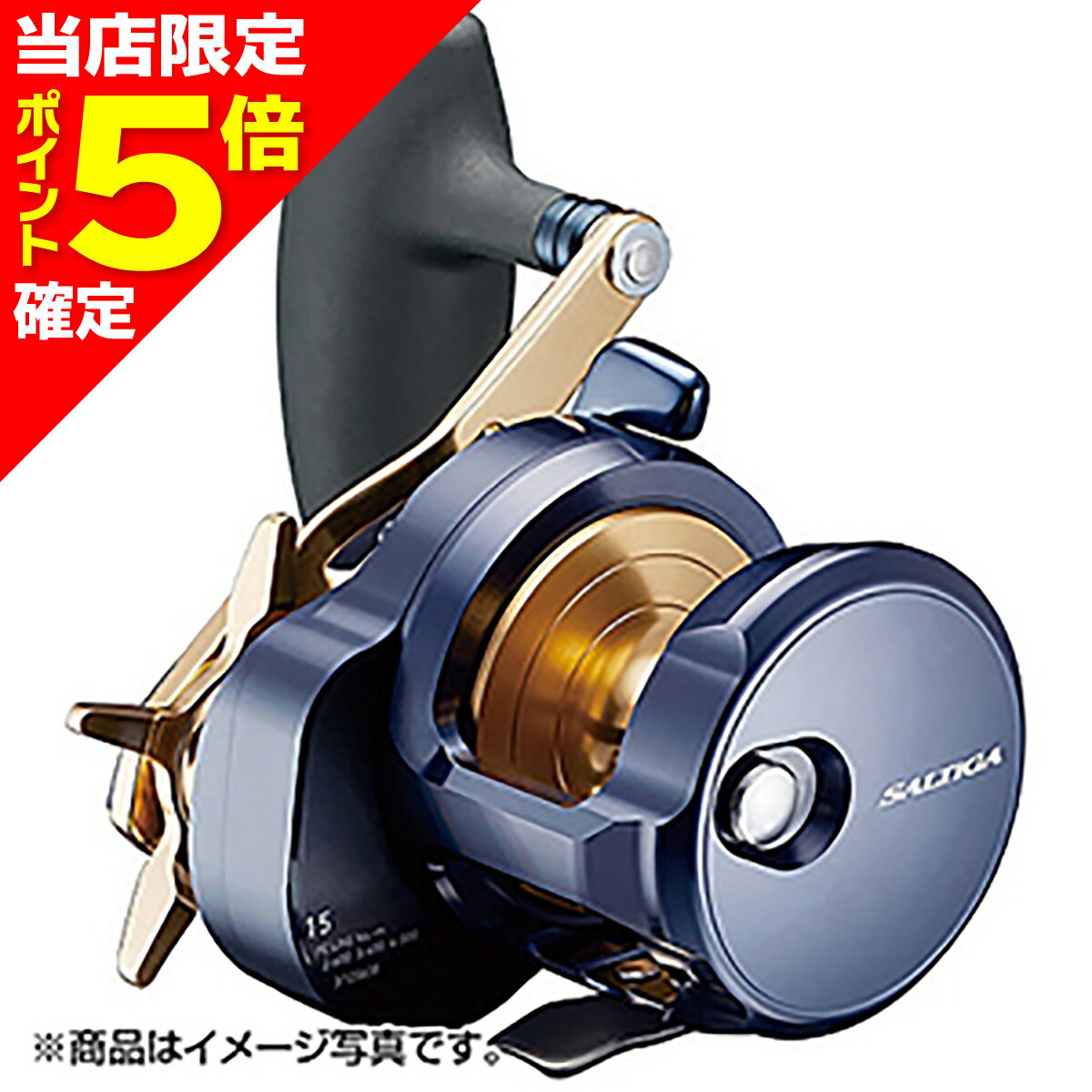 DAIWA - 【当店限定P5倍確定】ダイワ(DAIWA) 22 ソルティガ 15H 右ハンドル