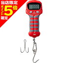 【当店限定P5倍確定】ダイワ(DAIWA) デジタルスケール 25 レッド