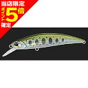【当店限定P5倍確定】デュオ(DUO) スピアヘッド リュウキ 70S N34 ヤマメ(4)