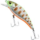 ジャッカル(JACKALL) トリコロール舞 55S フラッシュチャートヤマメ(4)