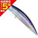 【当店限定P5倍確定】デュオ(DUO) ビーチウォーカー ファルクラムライト 95S SNA0534 UVカタクチ(4)