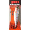 ラパラ(Rapala) BXミノー 7cm RT BXM7(4)