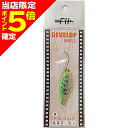 【当店限定P5倍確定】フィールドハンター デベロップシェル 5g B2
