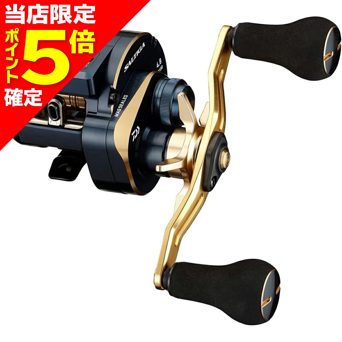 DAIWA - 【当店限定P5倍確定】ダイワ(DAIWA) 21 ソルティガ IC 100PL-DH 左ハンドル