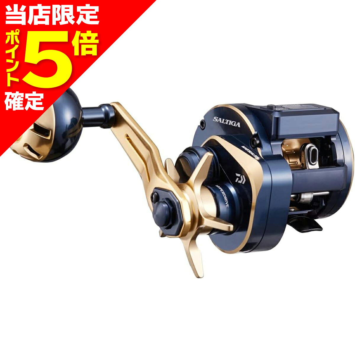 DAIWA - 【当店限定P5倍確定】ダイワ(DAIWA) 21 ソルティガ IC 100 右ハンドル