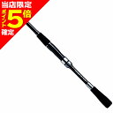 【エントリーでポイント最大7倍】ダイワ(DAIWA) 20 クロスビート SW 666TUL