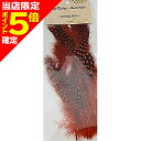 【当店限定P5倍確定】アングル(ANGLE) ギニアホウル RE