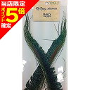 【当店限定P5倍確定】アングル(ANGLE) ピーコック ソード NA