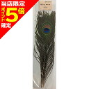 【当店限定P5倍確定】アングル(ANGLE) ピーコック アイ NA