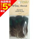 【当店限定P5倍確定】アングル(ANGLE) ピーコック グリーンフランク