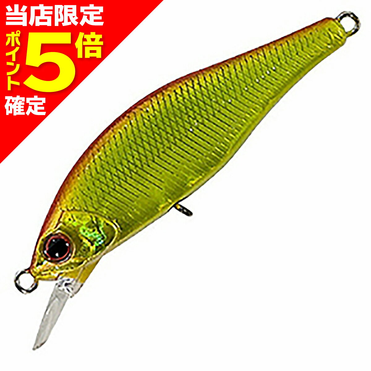 Rakuten - 【当店限定P5倍確定】パームス(PALMS) アレキサンドラ 50HW A-105 アバロンサマービートル