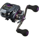 ダイワ(DAIWA) 19 ライト SW X ICL 左ハンドル