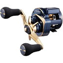 ダイワ(DAIWA) 21 ソルティガ IC 100P-DH 右ハンドル
