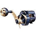 ダイワ(DAIWA) 21 ソルティガ IC 100 右ハンドル