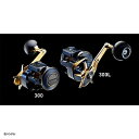 ダイワ(DAIWA) 21 ソルティガ IC 300 右ハンドル