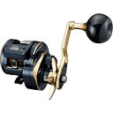ダイワ(DAIWA) 21 ソルティガ IC 300L 左ハンドル
