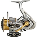 ダイワ(DAIWA) 21 フリームス LT3000-C