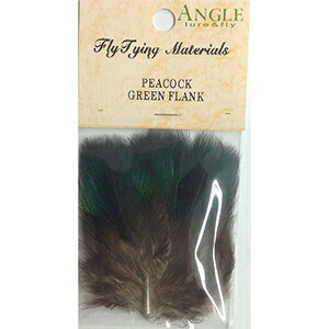 アングル(ANGLE) ピーコック グリーンフランク