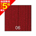 【当店限定P5倍確定】ティムコ(TIEMCO) SHIMAZAKI Stretch Body シマザキ ストレッチボディ 06 ブラッドレッド