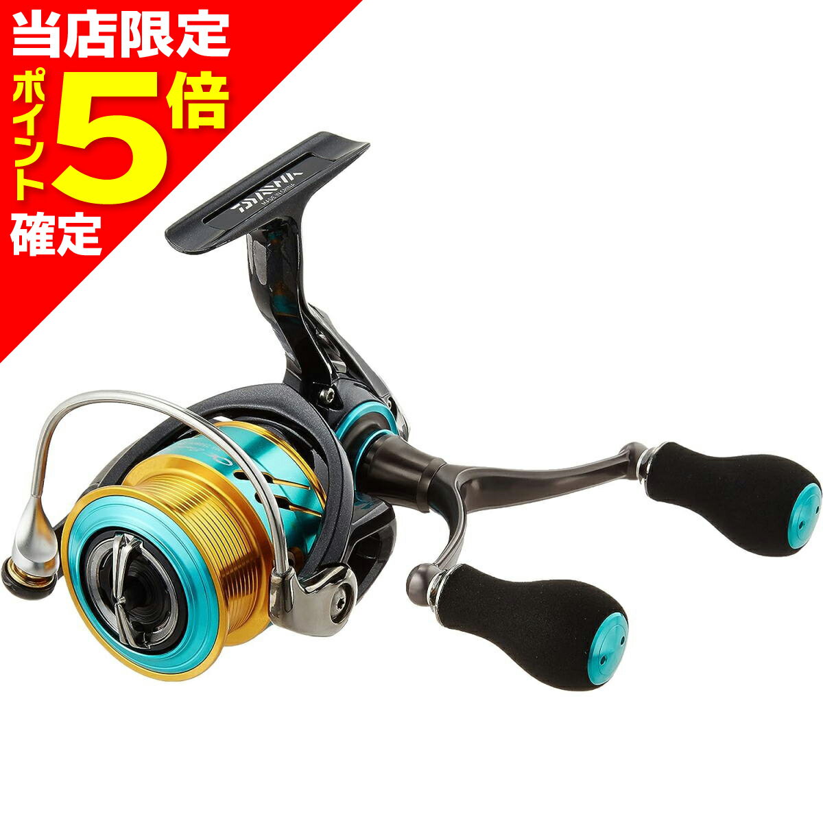 【エントリーでポイント7倍】ダイワ(DAIWA) 17 エメラルダスMX 2508PE-DH