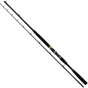 【エントリー お買いまわりで最大10倍】ダイワ(DAIWA) 19 ヒラメバケX 210