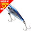 【当店限定P5倍確定】シマノ(SHIMANO) ヘッドディップ フラッシュブースト 140F #004 Fトビウオ XU-T14U 【当店限定P5倍確定】シマノ(SHIMANO) ヘッドディップ フラッシュブースト 140F #004 Fトビウオ XU-T14U