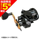 【当店限定P5倍確定】ピュア・フィッシング・ジャパン AbuGarcia MAX DLC BG(アブガルシア マックス ディーエルシー BG) 右巻き