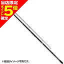 【当店限定P5倍確定】ダイワ(DAIWA) 23 ロングビームT 27-405